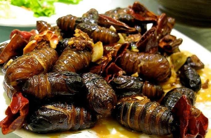 Silkworm pupae fry